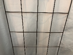 530101