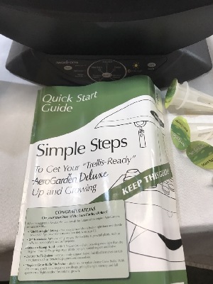 538346