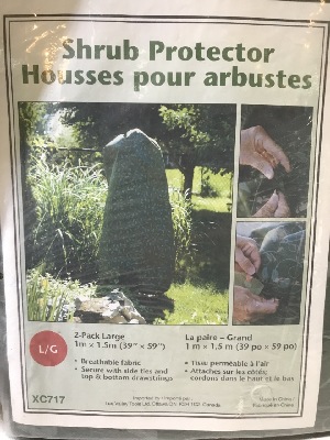 538389