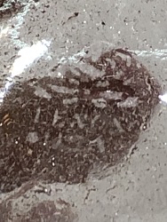 537549