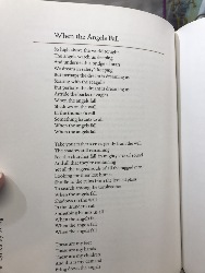 537807