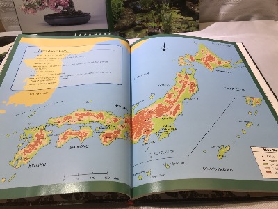 541677