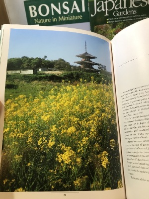 541678