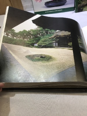541681