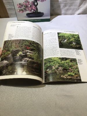 541682
