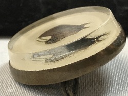540783