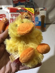 541420