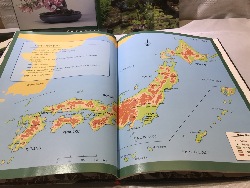 541677