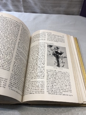 542416