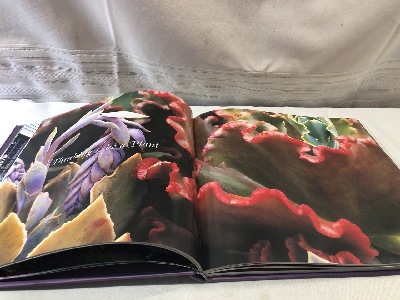 542417