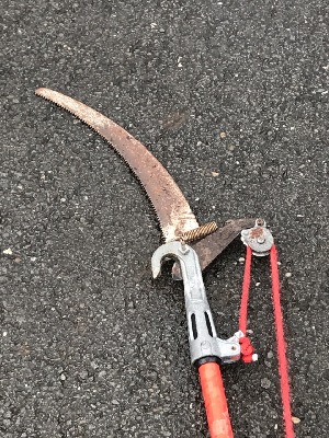 542925