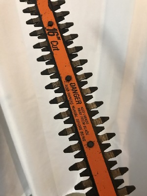543846