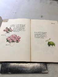 542411