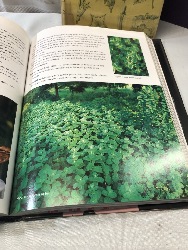542414