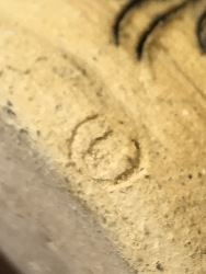 543029