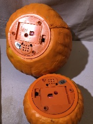 543836