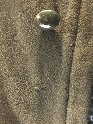 544005