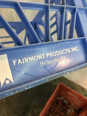 544954