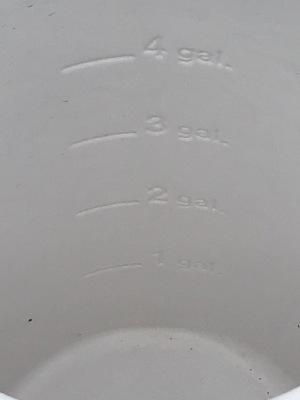 545397