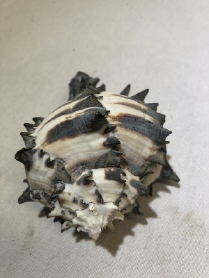 546417