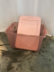 544894