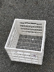 545408