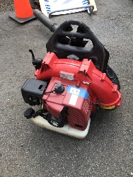 545433