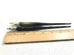 546427