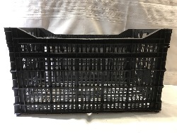 546909