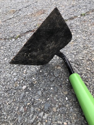 550790