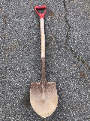 550795