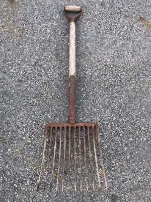 550799