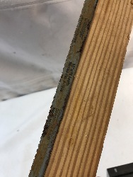 550119