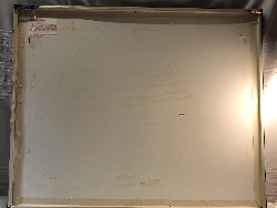 550606