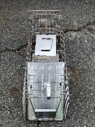 550780