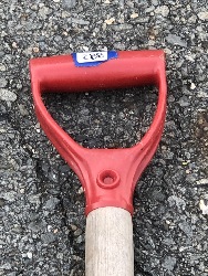 550798