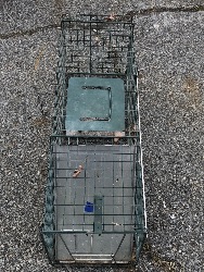 550807