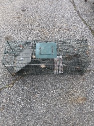 550808