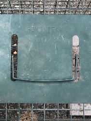 550809