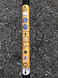 550829