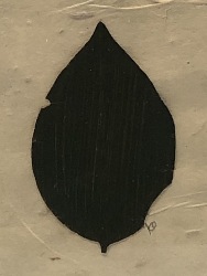 554567