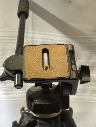 554931