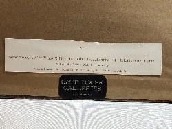 555066