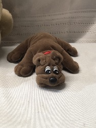 555427