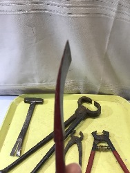 555686