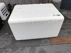 556205