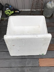 556206