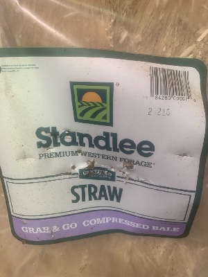 553303