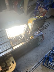 549261