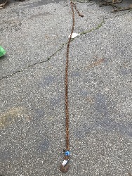 557536